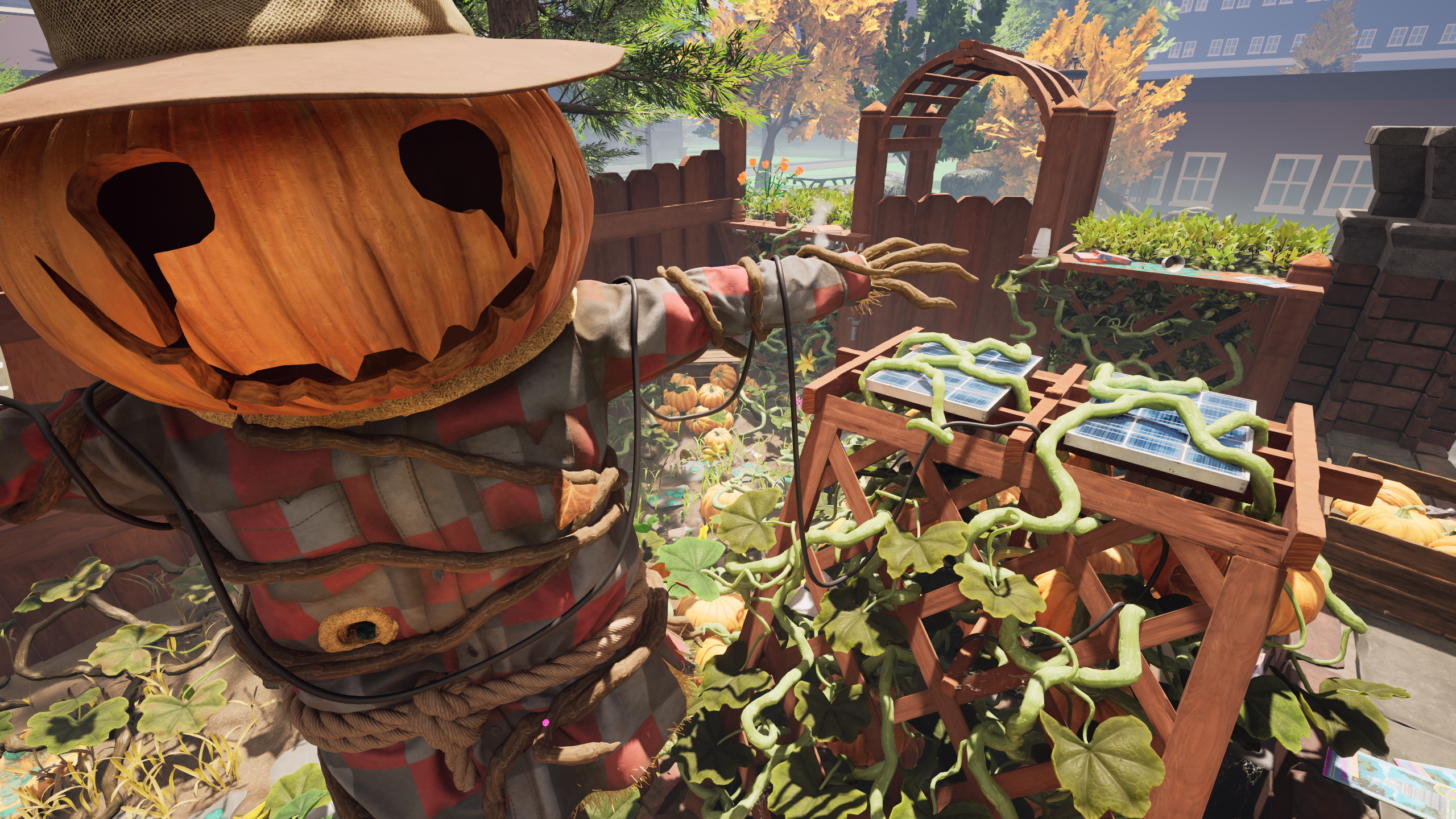 Pumpkin Patch